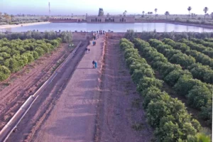 Agdal Gardens The Marrakech City Garden